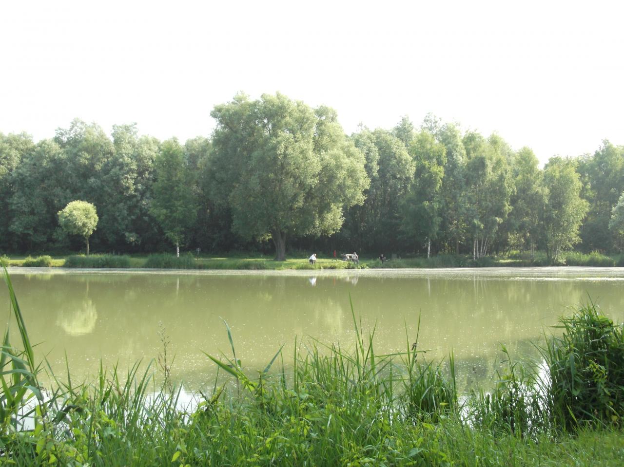 DSCF0487